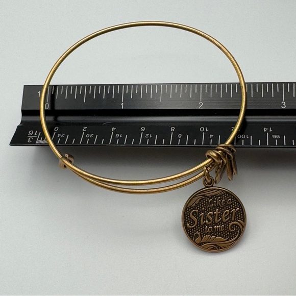 Alex and Ani “Like a Sister to Me” Rafaelian Gold Bangle Bracelet - Picture 4 of 5
